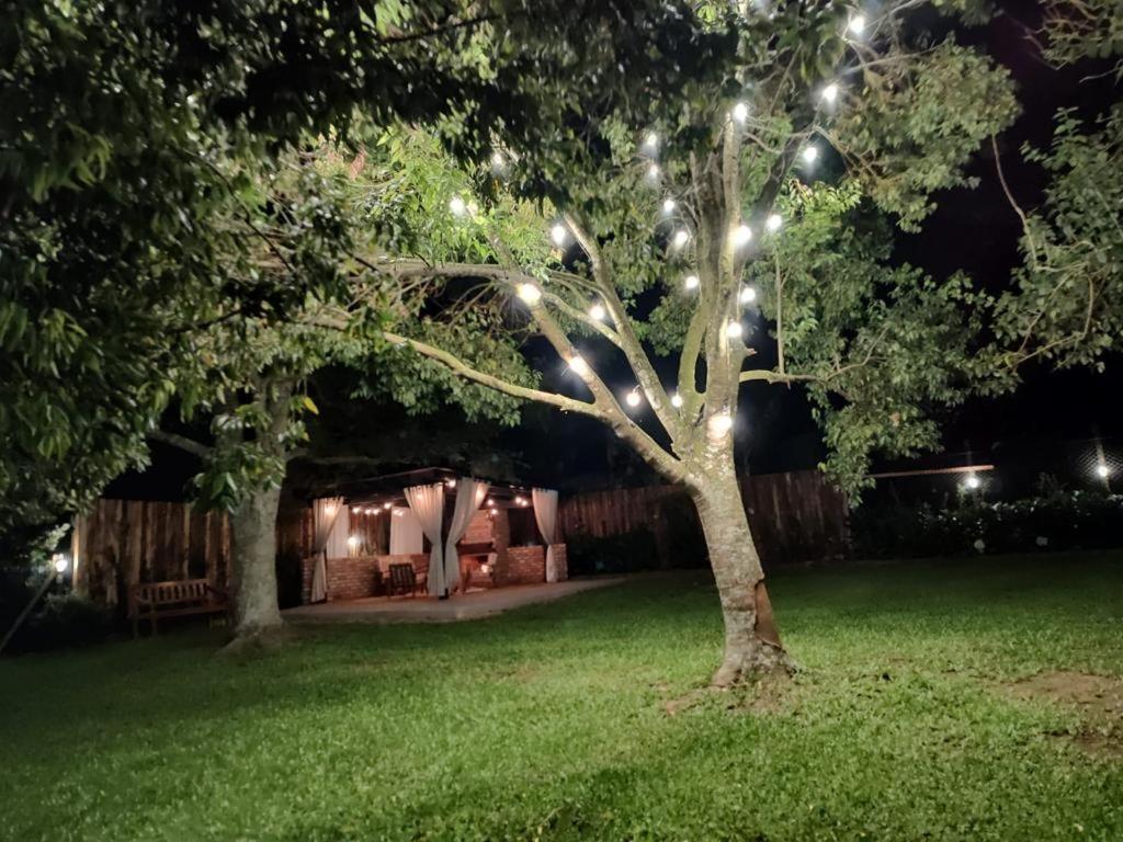 Pousada Do Salto Ventoso / Serra Gaucha Casa 1 فاروبيلا المظهر الخارجي الصورة